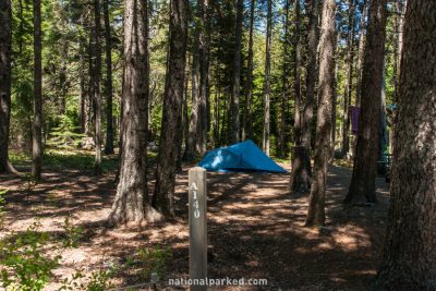 Blackwoods Campground in Acadia National Park in Maine