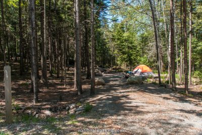 Blackwoods Campground in Acadia National Park in Maine