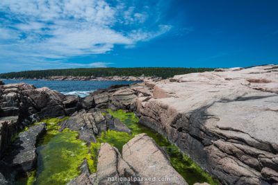 Otter Point in Acadia National Park in Maine