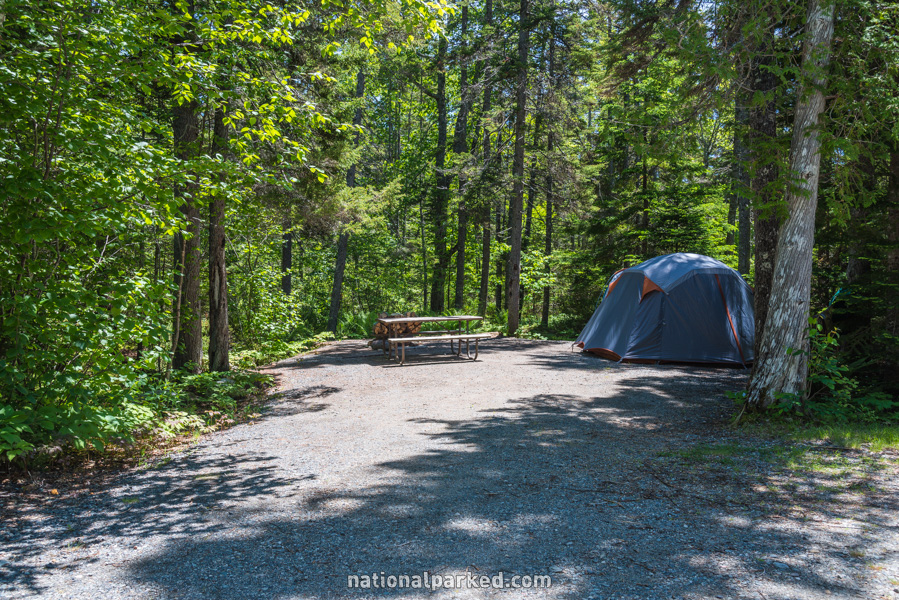 Seawall Campground in Acadia National Park in Maine