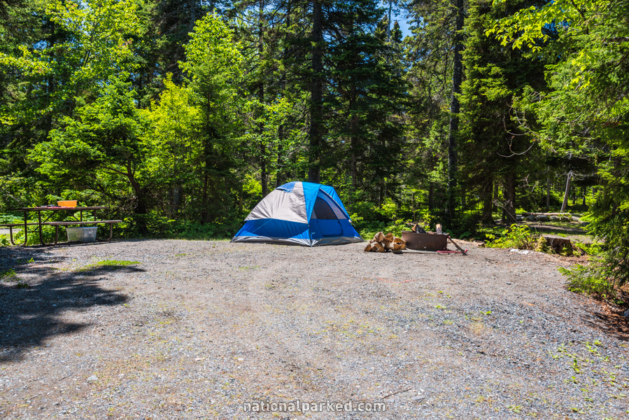 Seawall Campground in Acadia National Park in Maine