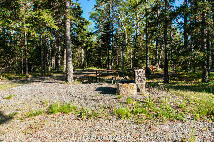Seawall Campground in Acadia National Park in Maine