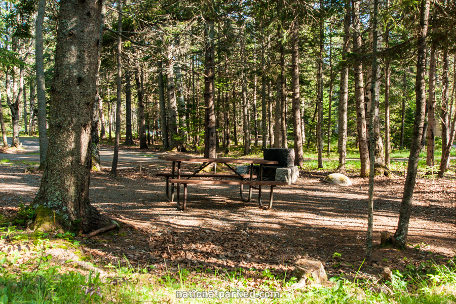 Seawall Campground in Acadia National Park in Maine
