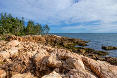 Ship Harbor in Acadia National Park in Maine