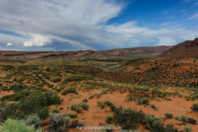 Cache Valley Overlook in Arches National Park in Utah