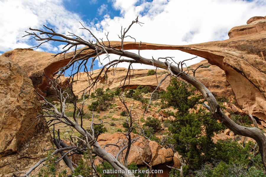 Landscape Arch in Arches National Park in Utah