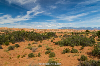 Petrified Dunes in Arches National Park in Utah