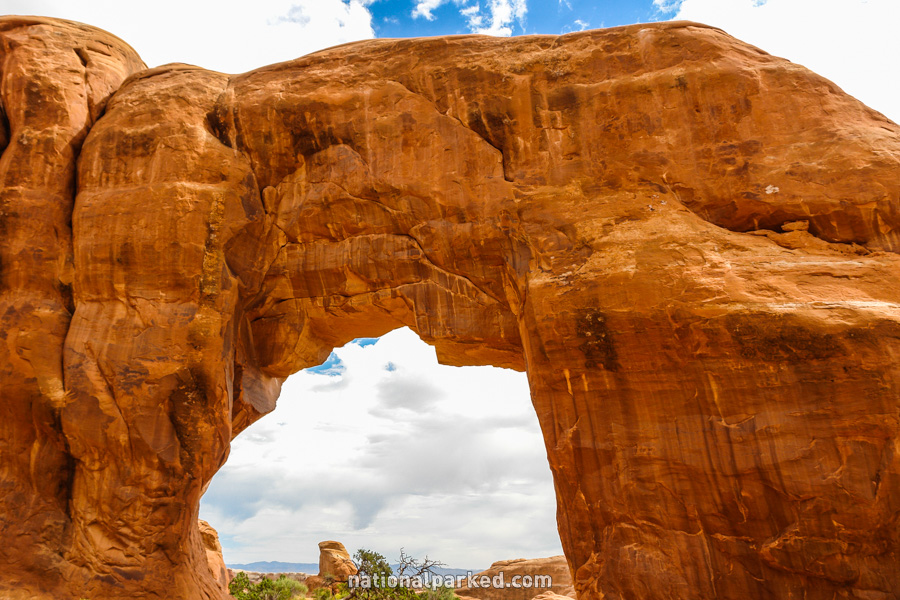 Pine Tree Arch in Arches National Park in Utah