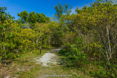 Boca Chita Key Trail  in Biscayne National Park in Florida
