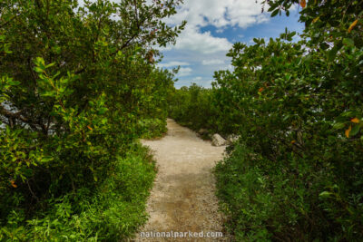 Convoy Point Trail in Biscayne National Park in Florida