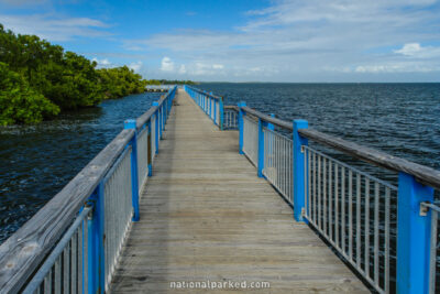 Convoy Point Trail in Biscayne National Park in Florida