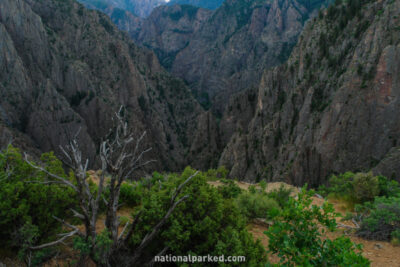 Tomichi Point in Black Canyon of the Gunnison National Park in Colorado