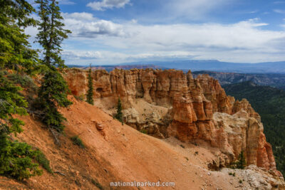 Black Birch Canyon in Bryce Canyon National Park in Utah