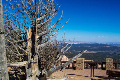 Bristlecone Trail in Bryce Canyon National Park in Utah