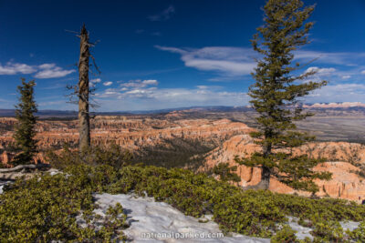 Bryce Point in Bryce Canyon National Park in Utah