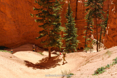 Navajo Loop Trail in Bryce Canyon National Park in Utah