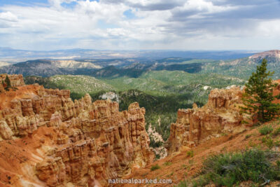 Ponderosa Point in Bryce Canyon National Park in Utah