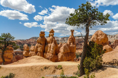 Queen's Garden Trail in Bryce Canyon National Park in Utah
