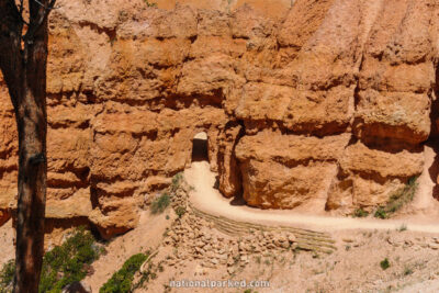 Queen's Garden Trail in Bryce Canyon National Park in Utah