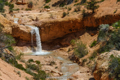 Water Canyon in Bryce Canyon National Park in Utah