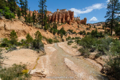 Water Canyon in Bryce Canyon National Park in Utah