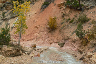 Water Canyon in Bryce Canyon National Park in Utah