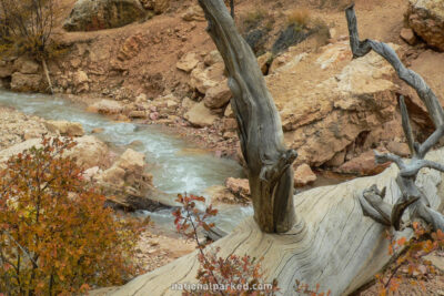 Water Canyon in Bryce Canyon National Park in Utah