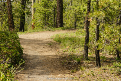 Whiteman Connecting Trail in Bryce Canyon National Park in Utah