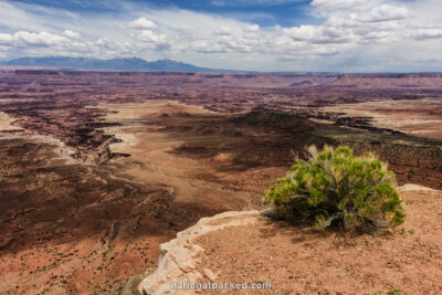 Buck Canyon Overlook in Canyonlands National Park in Utah