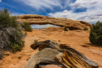 Mesa Arch in Canyonlands National Park in Utah