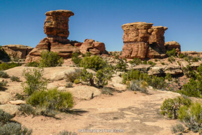 Needles Roads End in Canyonlands National Park in Utah