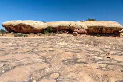 Pothole Point in Canyonlands National Park in Utah