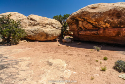 Pothole Point in Canyonlands National Park in Utah