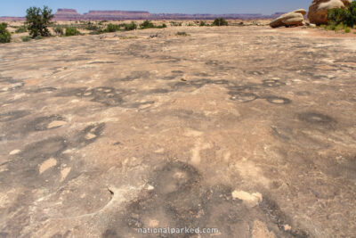 Pothole Point in Canyonlands National Park in Utah