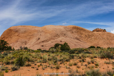 Whale Rock in Canyonlands National Park in Utah