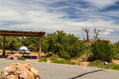 Willow Flat Campground in Canyonlands National Park in Utah