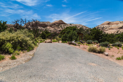 Willow Flat Campground in Canyonlands National Park in Utah