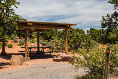 Willow Flat Campground in Canyonlands National Park in Utah