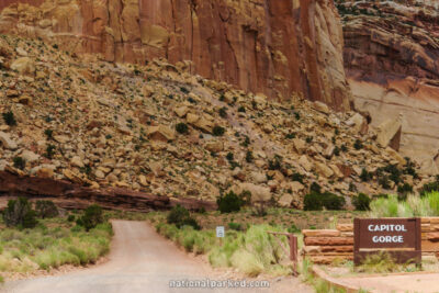 Capitol Gorge Road in Capitol Reef National Park in Utah