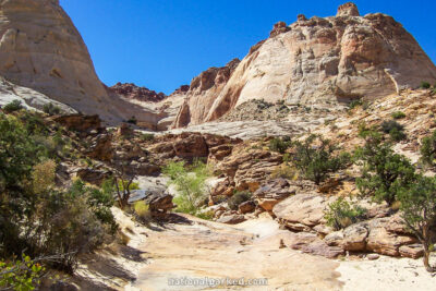 Capitol Gorge Trail in Capitol Reef National Park in Utah