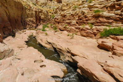 Fremont River Gorge in Capitol Reef National Park in Utah