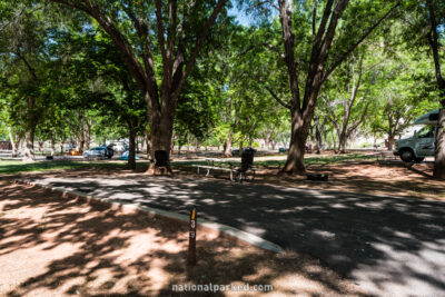 Fruita Campground in Capitol Reef National Park in Utah