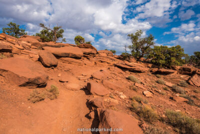 Goosenecks Point Trail, Capitol Reef National Park, Utah