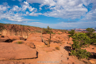 Goosenecks Point Trail, Capitol Reef National Park, Utah