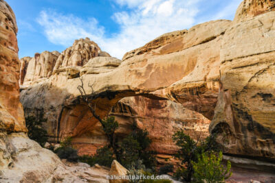 Hickman Bridge in Capitol Reef National Park in Utah