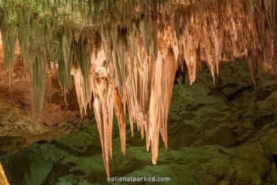 Big Room in Carlsbad Caverns National Park in New Mexico