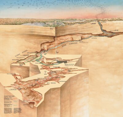 Carlsbad Caverns Main Cavern Map