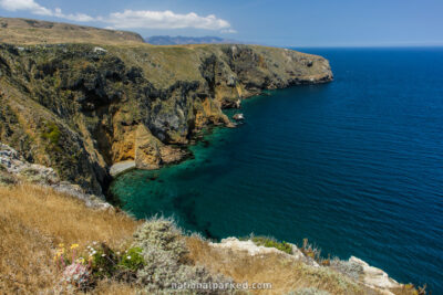 North Bluff Trail in Channel Islands National Park in California