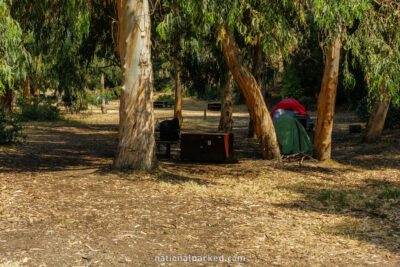 Scorpion Valley Campground in Channel Islands National Park in California