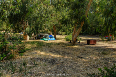 Scorpion Valley Campground in Channel Islands National Park in California